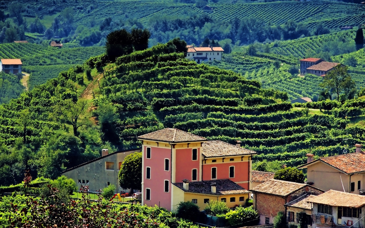 Prosecco Hills nahe Valdobbiadene in Venetien, Italien