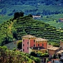 Prosecco Hills nahe Valdobbiadene in Venetien, Italien