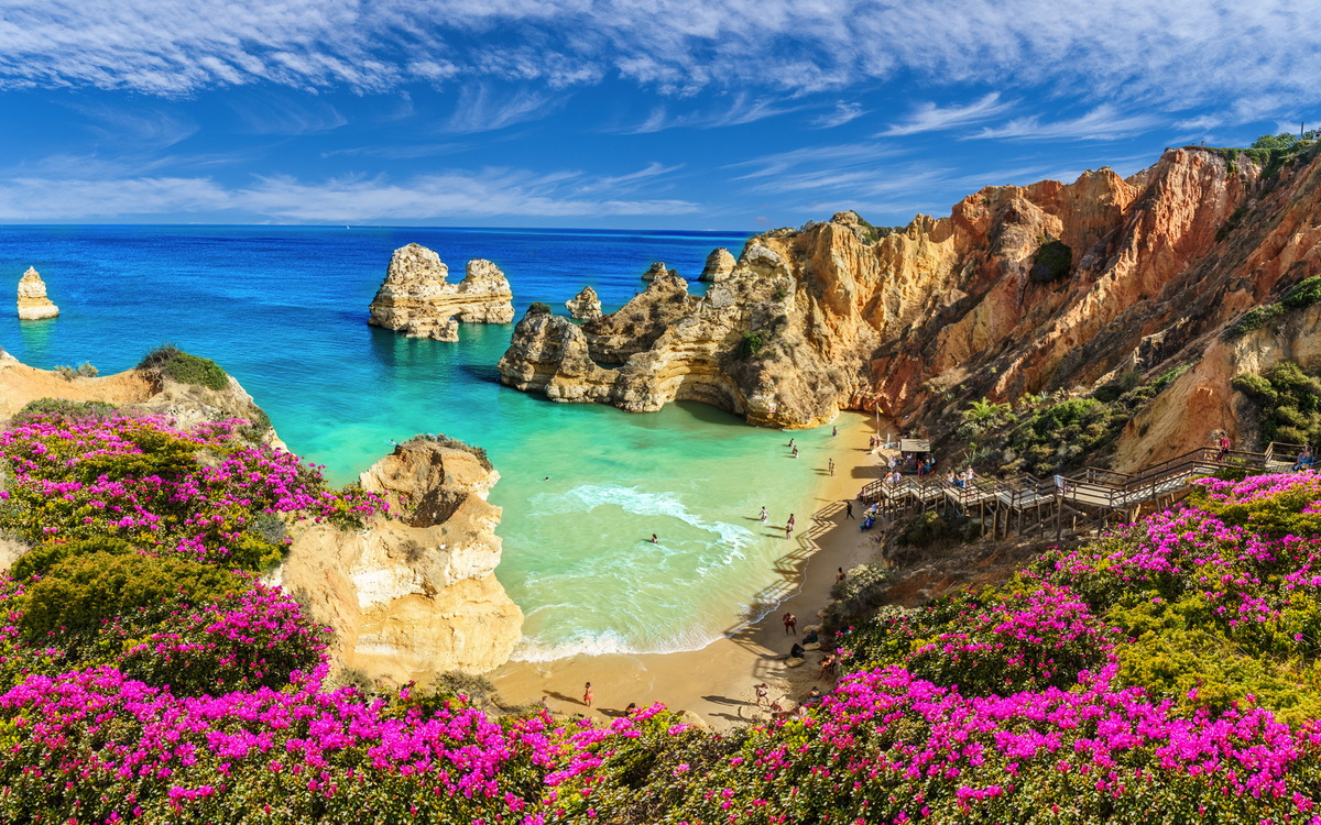 Küstenlandschaft mit Felsen, türkisfarbenem Meer und rosa Blumen im Vordergrund.