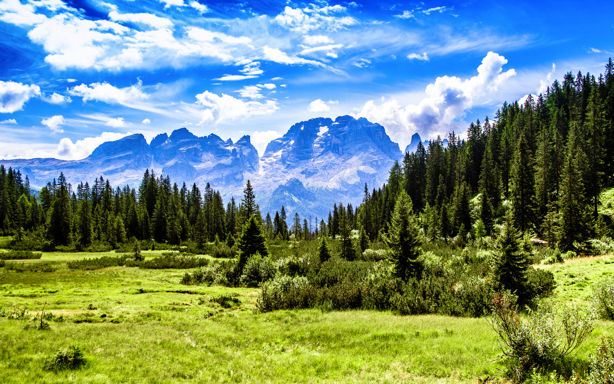 Grüne Landschaft mit Bergen im Hintergrund unter blauem Himmel.