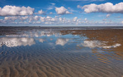 <p><span>Mandø mit Wattenmeer-Express</span></p>