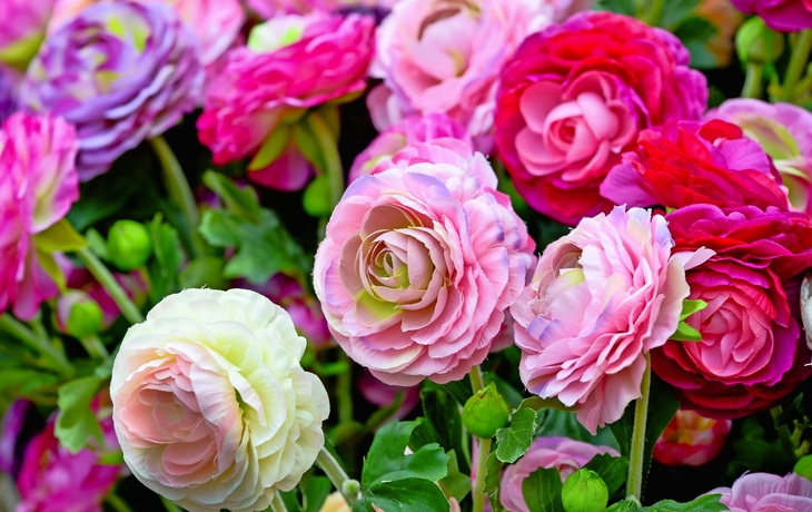 Klippenlandschaft mit rotem Felsen und blauem Meer bei Helgoland.