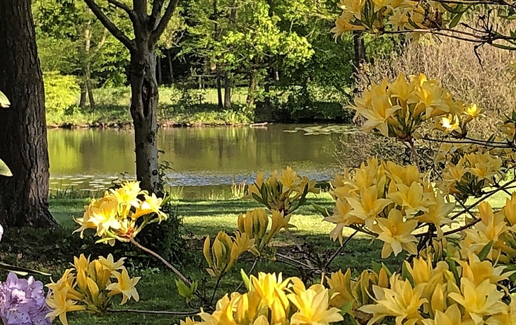 Blaues Fachwerkhaus an einem Fluss mit Blumengarten und Ruderboot.