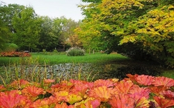 <p><span>Herbsterlebnis Holst. Schweiz</span></p>