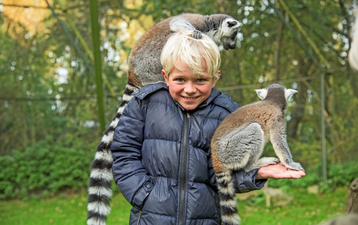Fachwerkhäuser und Blumen an einem Kanal unter blauem Himmel in einer europäischen Stadt.
