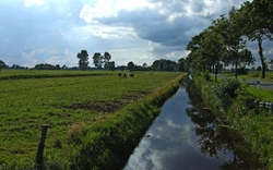 <p><span>„Platt“ im Kehdinger Land</span></p>