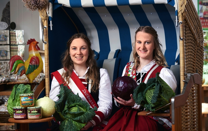 Historische Stadtlandschaft mit einer Kathedrale im Hintergrund unter blauem Himmel.