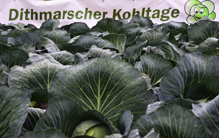 Radfahrer vor dem Florenzer Domplatz bei Sonnenschein