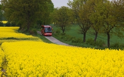 <p><span>Rapsblütenfahrt an der Schlei</span></p>