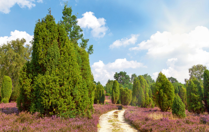 Bootstour auf einem Fluss im Spreewald, umgeben von grüner Natur.