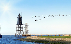 <p><span>Wurster Nordseeküste</span></p>