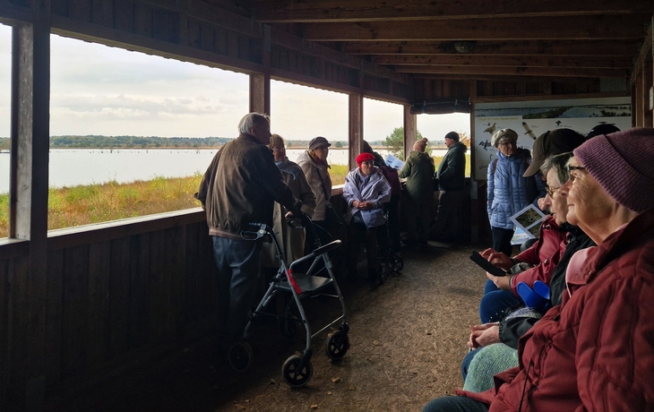 Personen beobachten Kraniche in einer überdachten Aussichtsplattform am Tister Bauernmoor.