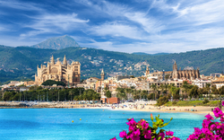 Kathedrale von Palma de Mallorca vor blauem Himmel mit Blick auf das Meer und Blumen im Vordergrund.
