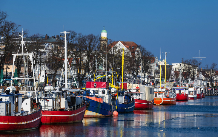 Fischerboote liegen nebeneinander im Hafen vor Gebäuden und kahlen Bäumen.