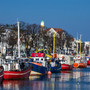 Fischerboote liegen nebeneinander im Hafen vor Gebäuden und kahlen Bäumen.