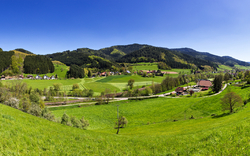 <p>Südschwarzwald</p>