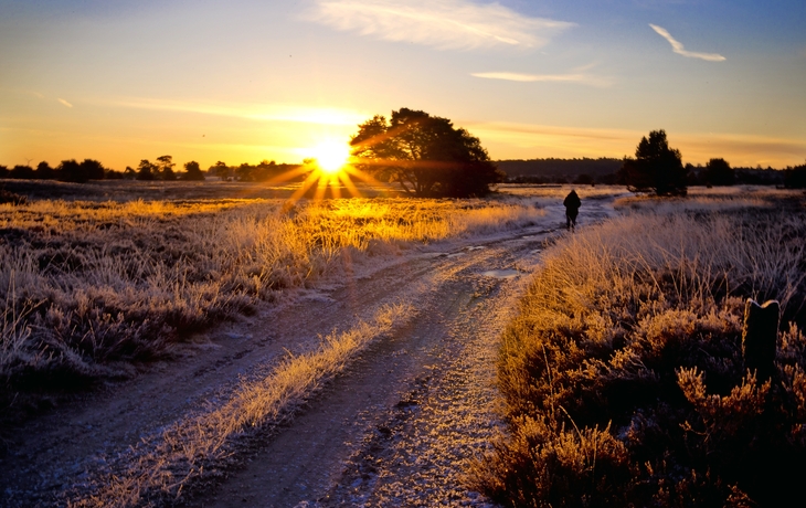 Lüneburger Heide im Winter bei Sonnenaufganf