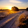 Lüneburger Heide im Winter bei Sonnenaufganf