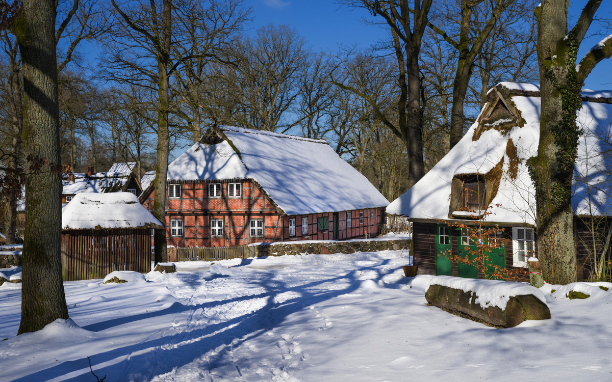 Wilsede