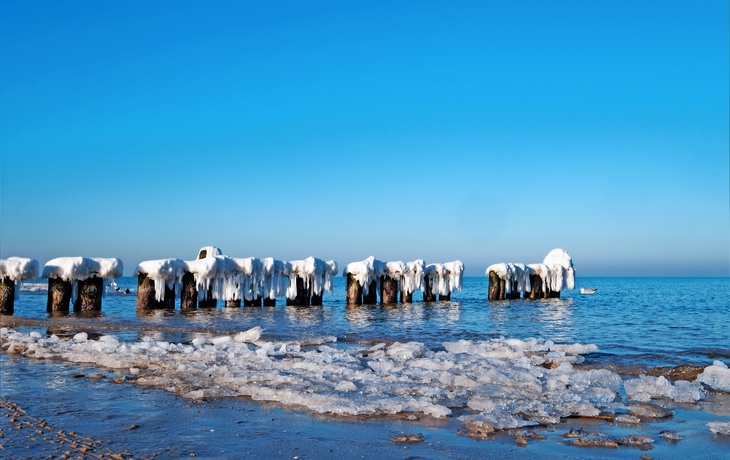 Strand mit vereisten Holzpfählen im Meer unter klarem Himmel.