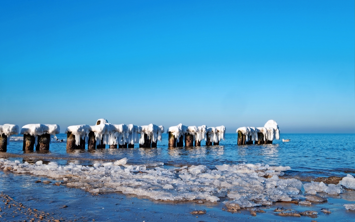Strand mit vereisten Holzpfählen im Meer unter klarem Himmel.