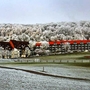 Hessen Hotelpark Hohenroda