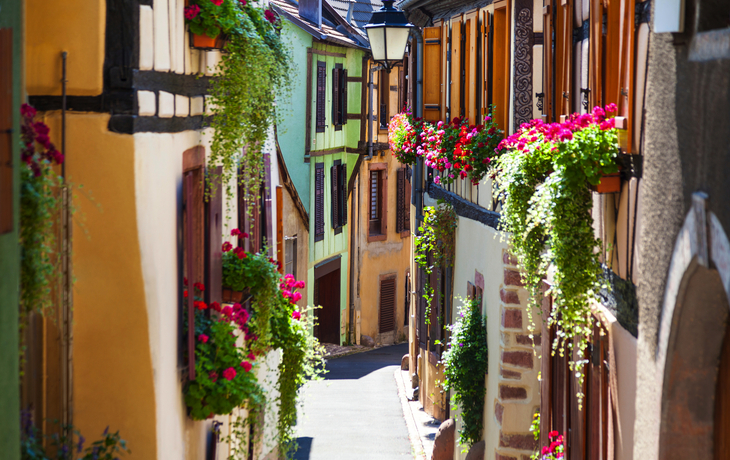 Schmale, malerische Gasse mit Fachwerkhäusern und blühenden Blumen.