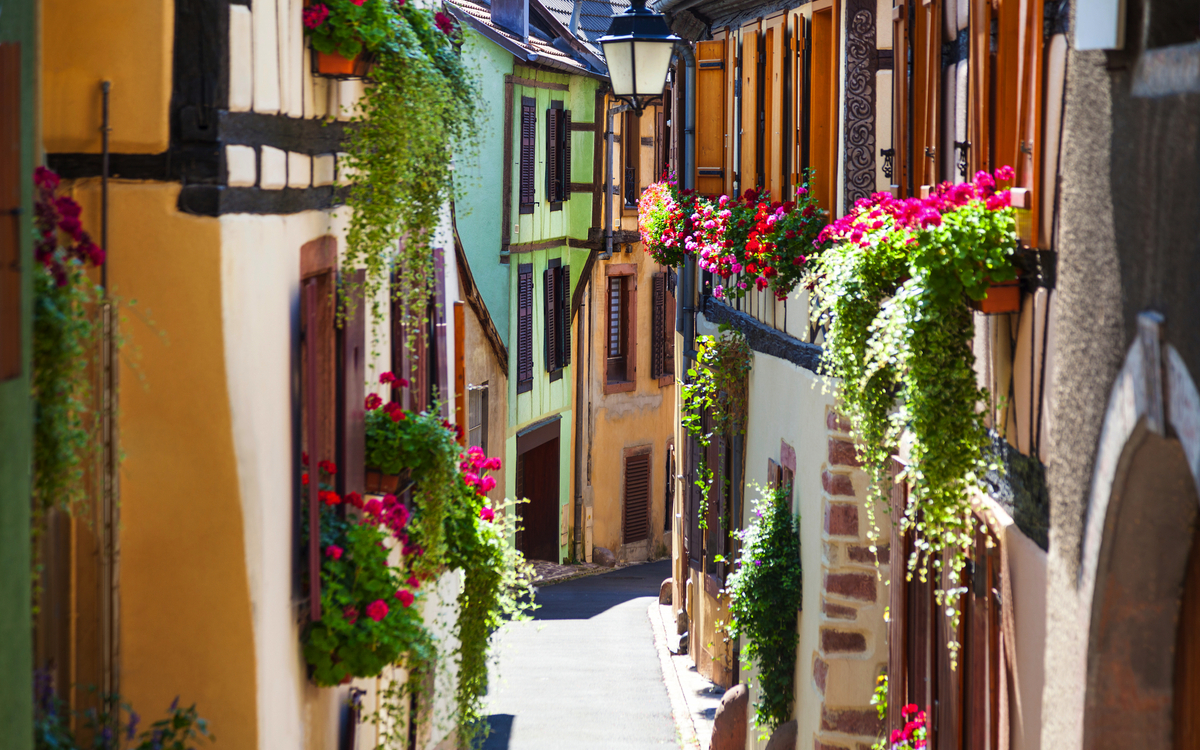 Schmale, malerische Gasse mit Fachwerkhäusern und blühenden Blumen.