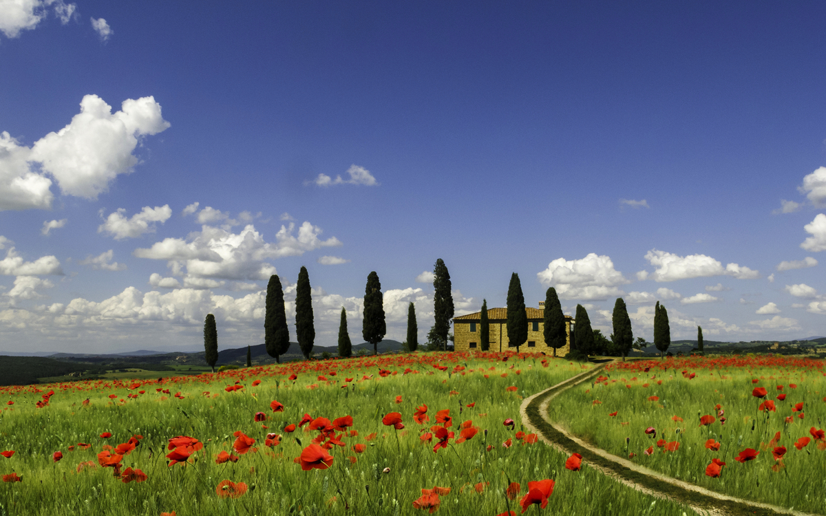 Val d'Orcia