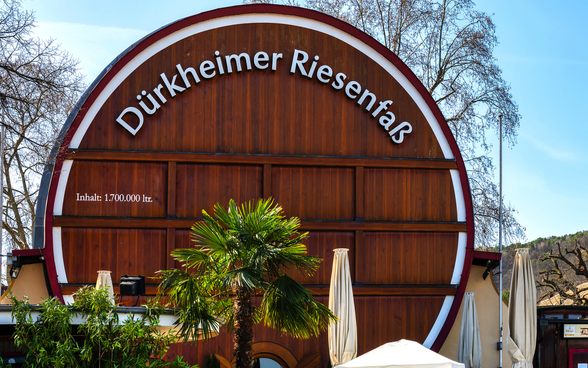 Dürkheimer Riesenfass mit Pflanzen und Sonnenschirmen im Vordergrund.