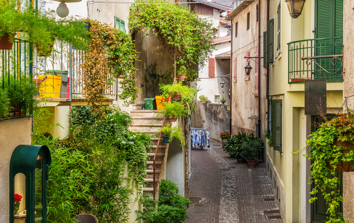 Limone