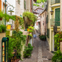 Limone