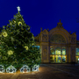  Marienbad Beleuchteter Weihnachtsbaum vor historischer Gebäudeansicht bei Nacht