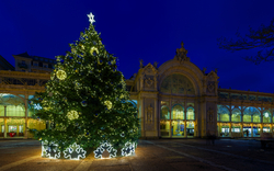  Marienbad Beleuchteter Weihnachtsbaum vor historischer Gebäudeansicht bei Nacht