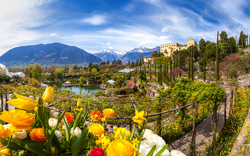 <p>Meran</p>