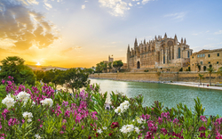 <p><span>Frühling auf Mallorca</span></p>