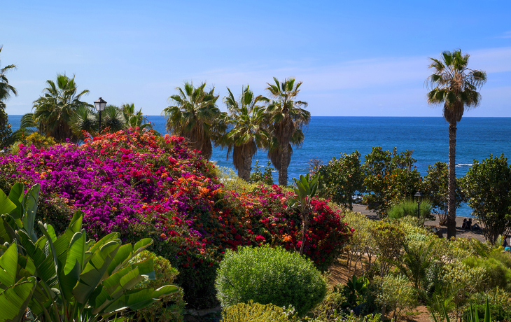 Garten mit Palmen und bunten Blumen vor blauem Meer und klarem Himmel.