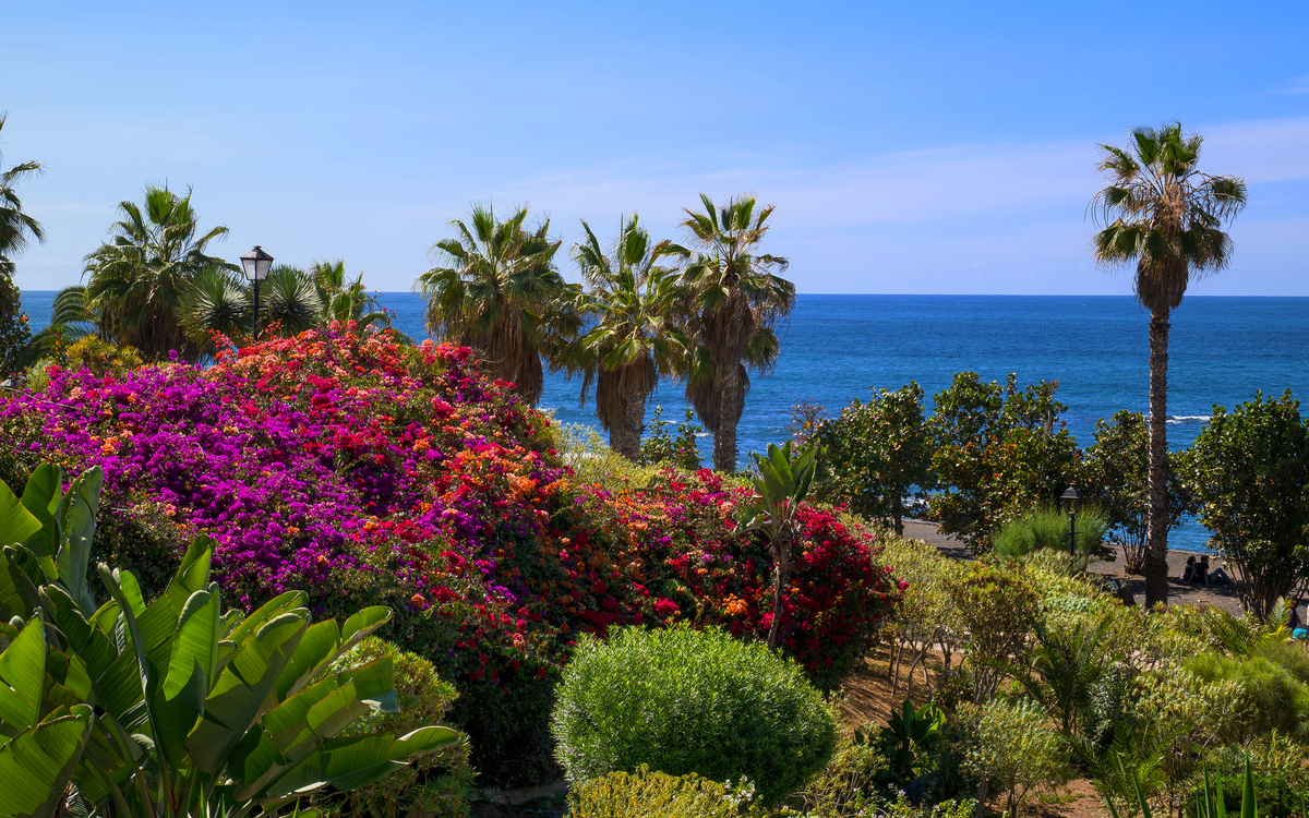 Garten mit Palmen und bunten Blumen vor blauem Meer und klarem Himmel.