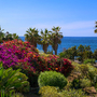 Garten mit Palmen und bunten Blumen vor blauem Meer und klarem Himmel.