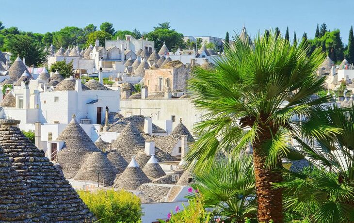 Traditionelle Trulli-Häuser in Alberobello, Italien, mit Palmen im Vordergrund.