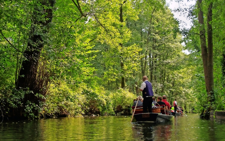 Bootstour auf einem Fluss im Spreewald, umgeben von grüner Natur.