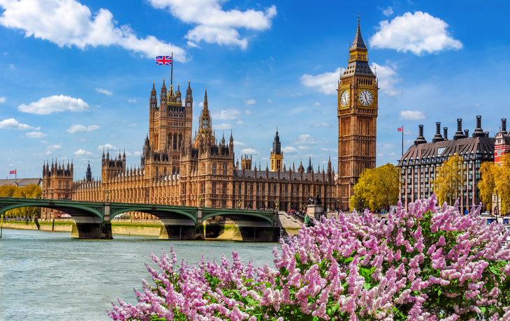 Palast von Westminster und Big Ben an der Themse in London mit Blumen im Vordergrund.