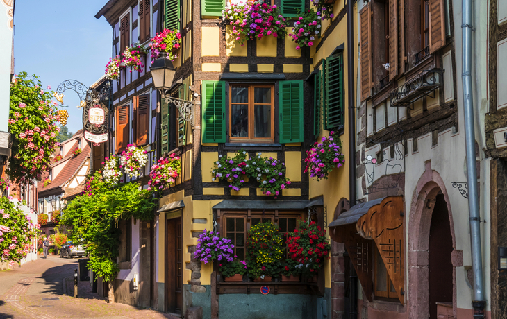 Fachwerkhaus mit bunten Fensterläden und Blumen auf einer gepflasterten Straße.