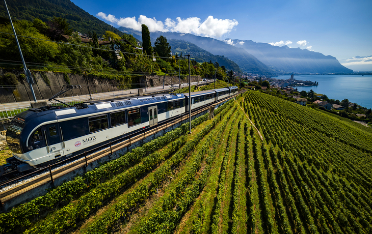 Zug fährt durch Weinberge nahe einem See und Bergen im Hintergrund.