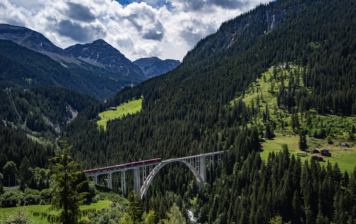 Zug fährt über eine Brücke in malerischer Berglandschaft mit Wald und Wiese.
