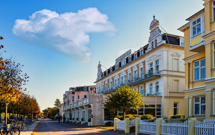 Straße mit historischen Gebäuden, Bäumen und blauem Himmel.