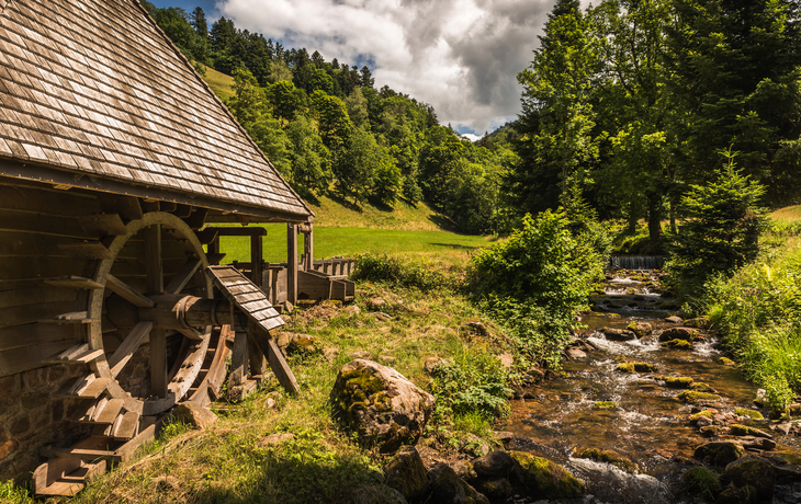Wassermühle neben einem Bach in idyllischer Waldlandschaft bei Sonnenschein.