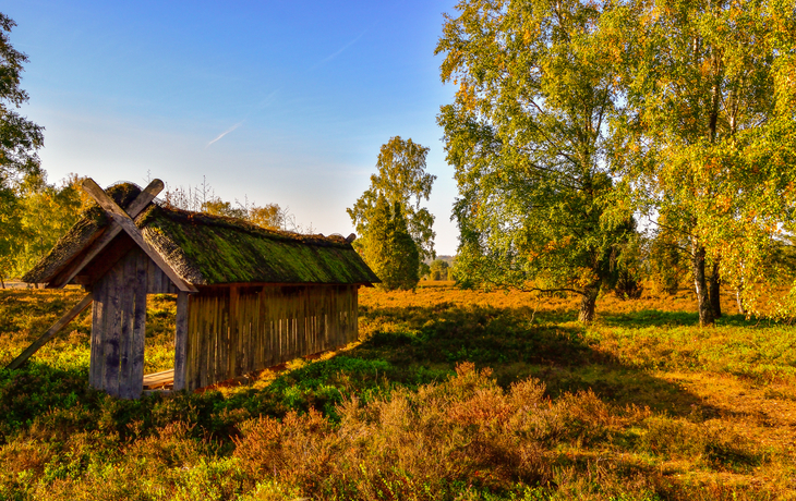 Holzhütte mit Moosdach auf Wiese, umgeben von Bäumen unter blauem Himmel.