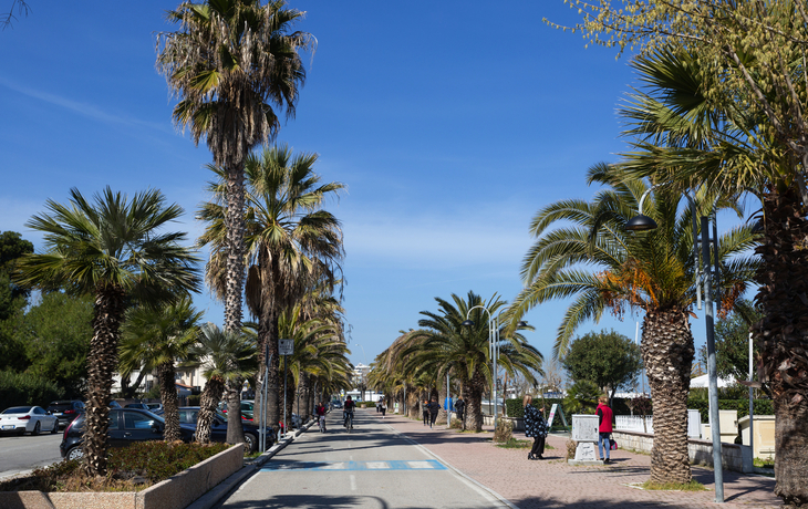 Promenade mit Palmen, blauer Himmel und Spaziergängern.