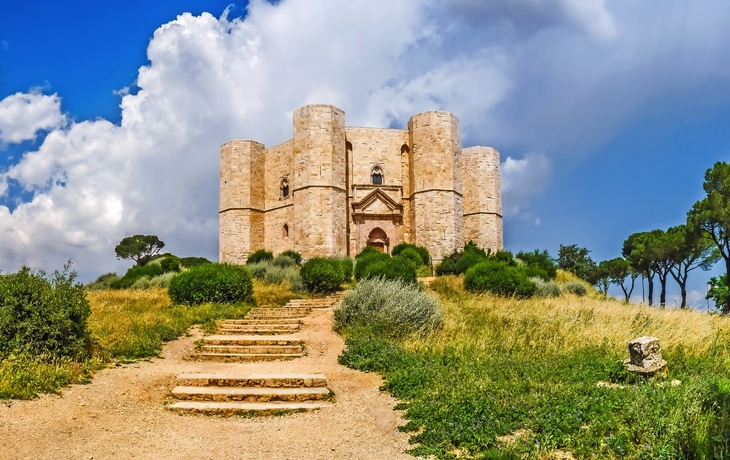 Historische Burg auf Hügel mit Treppe im Vordergrund, umgeben von Bäumen und Wiese.